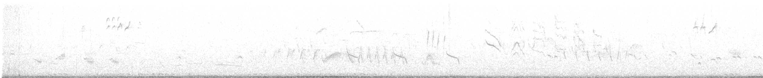 Хар хур - ML586594221