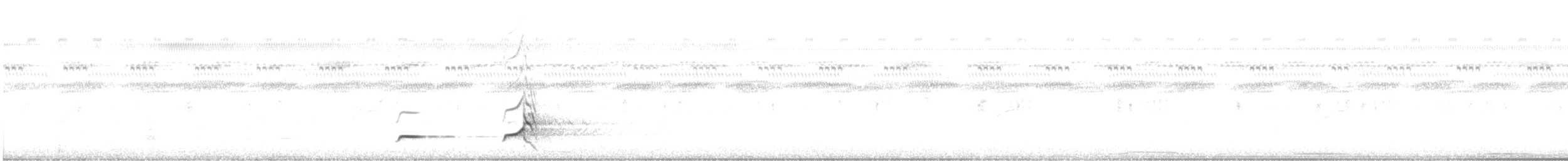 nordkrattvaktel (virginianus gr.) - ML586613671