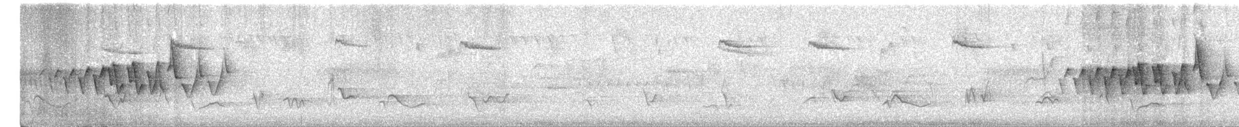 Chestnut-sided Warbler - ML586643321