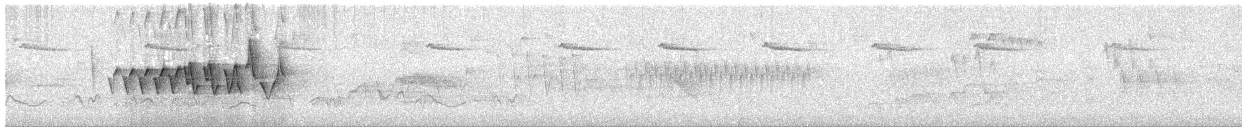 Chestnut-sided Warbler - ML586643371