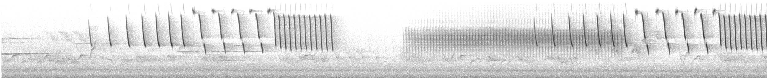 Tennessee Warbler - ML586667191