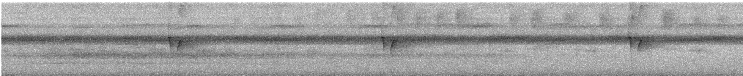 Painted Tody-Flycatcher - ML586671431