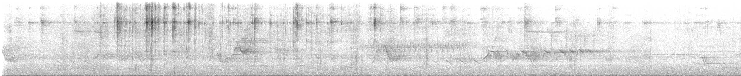 Cassin's Vireo - ML586680381