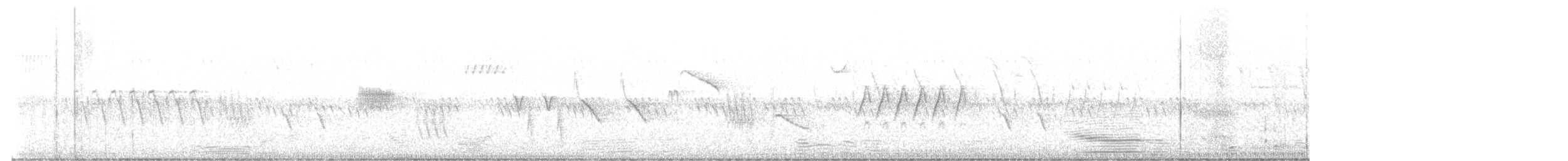 Townsendklarino - ML586691251
