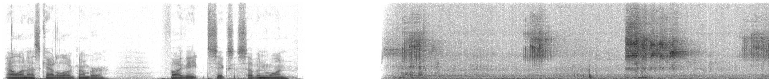 Rotschwanz-Fuchsdrossel - ML58671