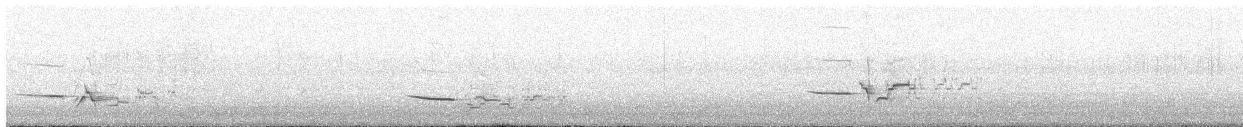 Дрізд-короткодзьоб плямистоволий - ML586717931