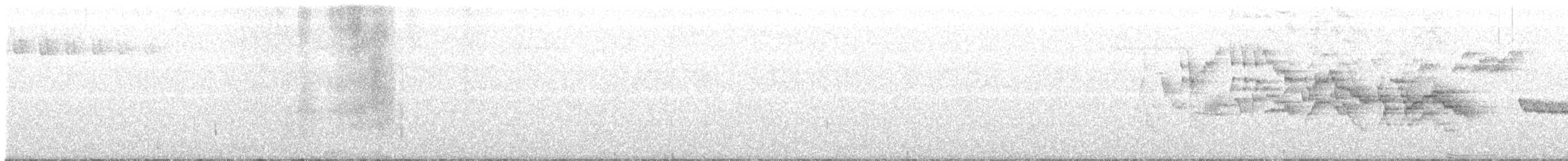 Пестрогорлый соловьиный дрозд - ML586720041