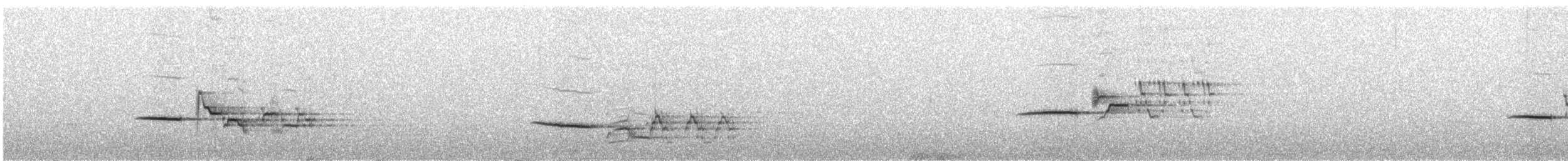 Дрізд-короткодзьоб плямистоволий - ML586725071