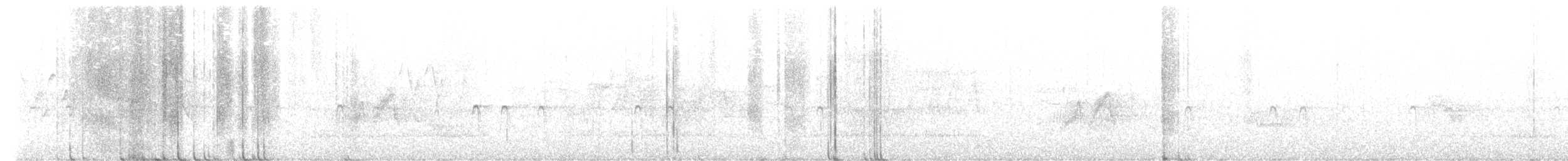 Bec-croisé des sapins (type 12) - ML586737921