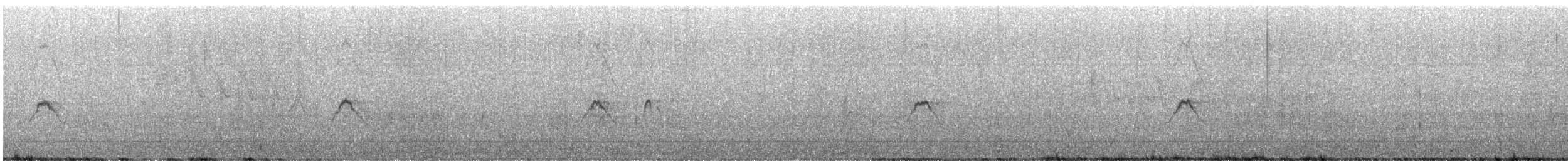 Moucherolle phébi - ML586761681