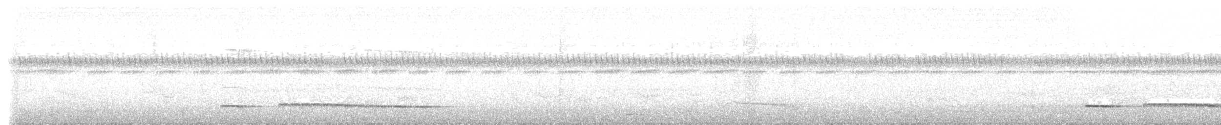 Graubrust-Ameisendrossel - ML586772901