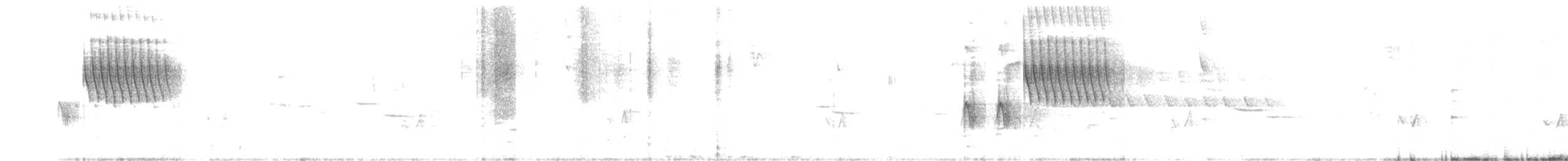 Тауї плямистий - ML586814401