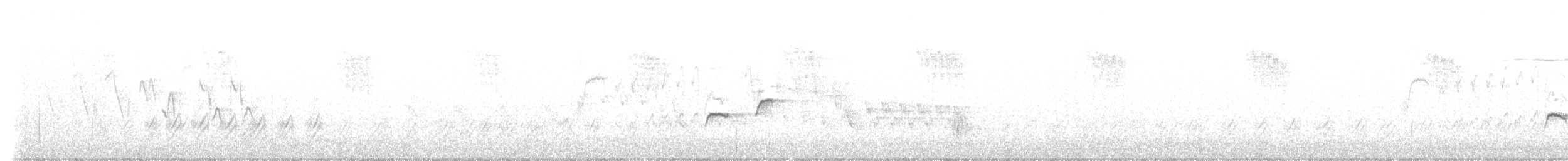 Bewick Çıtkuşu - ML586829101