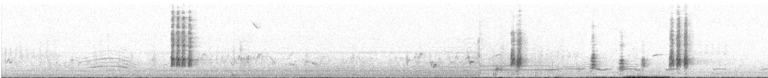 maghrebskjære - ML586840621