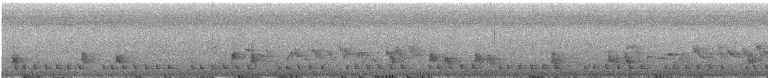 Торо східний (підвид alfredi) - ML586861231