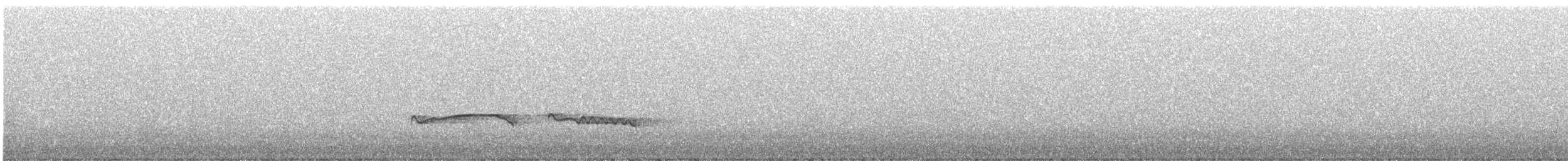 Höhennachtschwalbe [ruwenzorii-Gruppe] - ML586864761