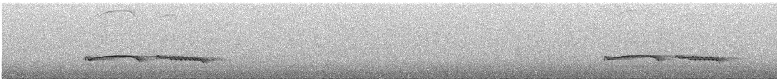 Höhennachtschwalbe [ruwenzorii-Gruppe] - ML586865131
