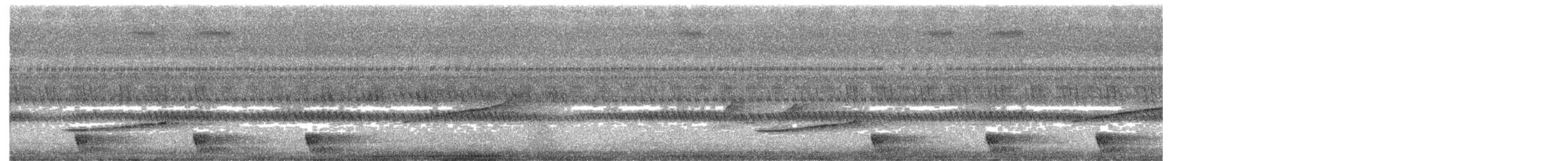 Large-tailed Nightjar - ML586866731
