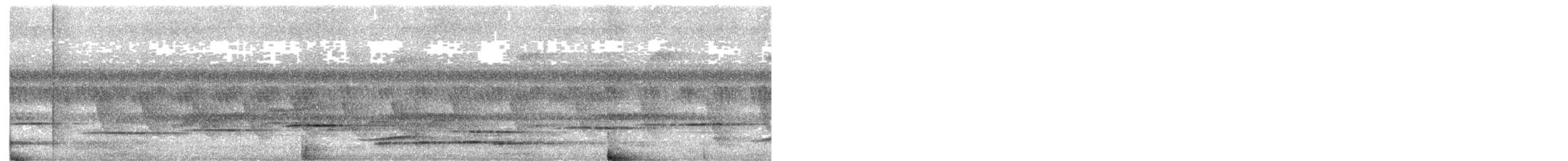 Tordina Coronioscura - ML586872341