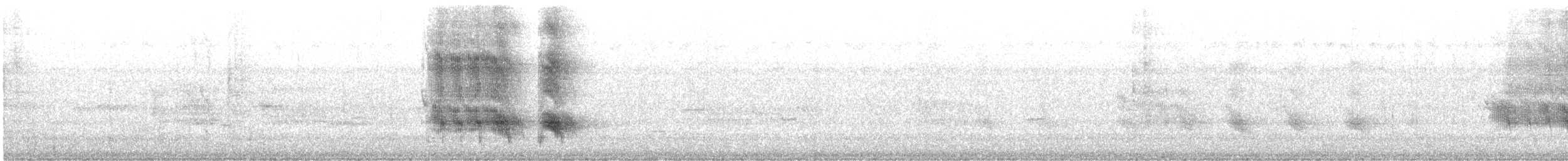 Лодкохвостый гракл (westoni) - ML586893681