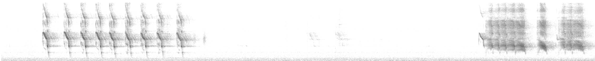 Гракл прибережний (підвид westoni) - ML586894301