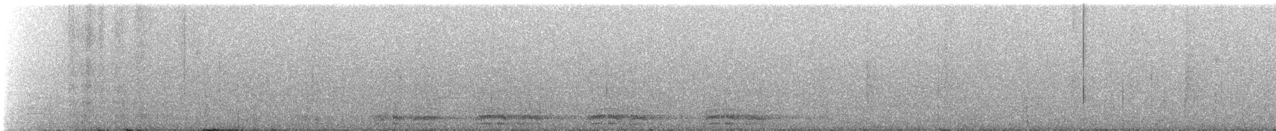 Speckled Chachalaca (Speckled) - ML586895711