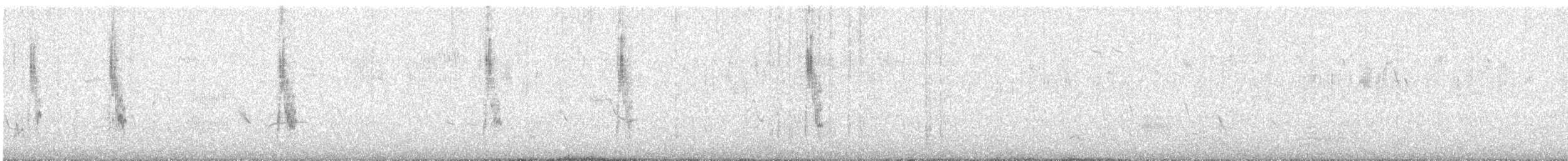 Woodchat Shrike - ML586902061