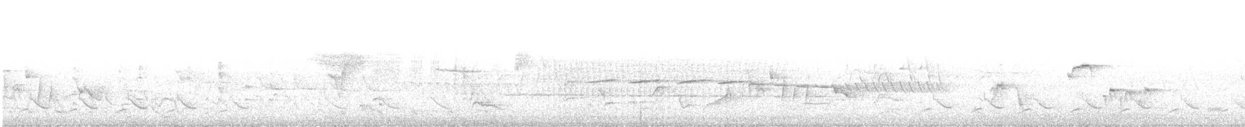 Желтокрылая/Голубокрылая червеедка - ML586928191