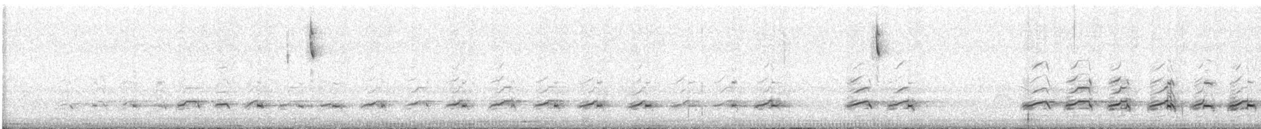 sokol stěhovavý (ssp. anatum) - ML586928911