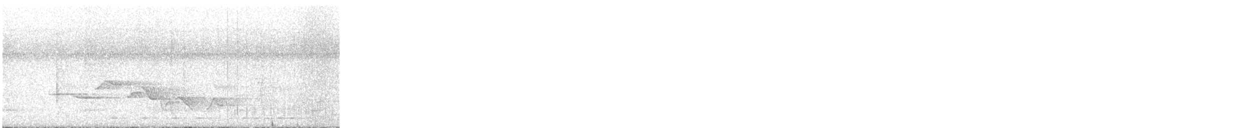 Troglodyte à poitrine tachetée - ML586930251