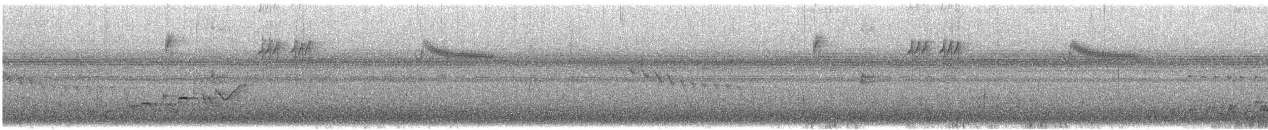 Papamoscas de Cassin - ML586935061