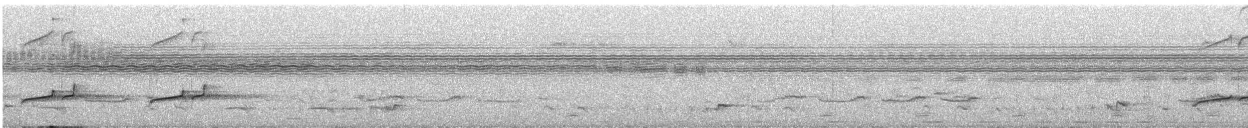 Зозуля товстодзьоба (підвид validus/brazzae) - ML586937891