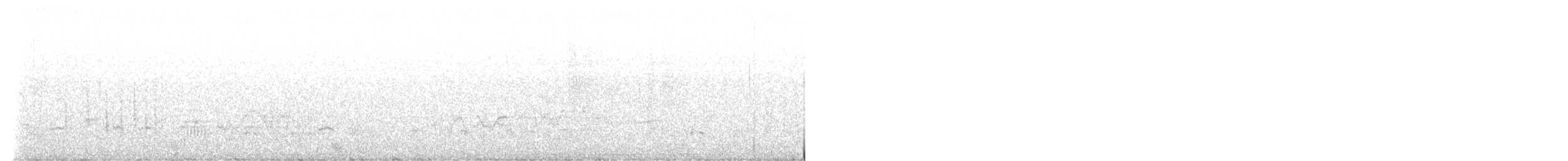 Érismature rousse - ML586939261