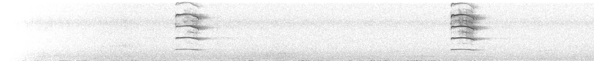長耳鴞 - ML586943281