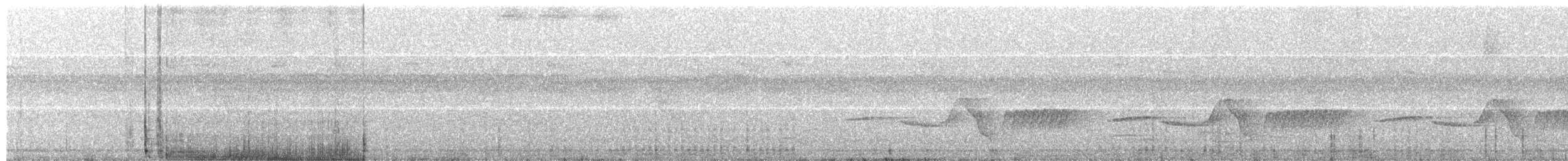 Plumbeous Kite - ML586943441