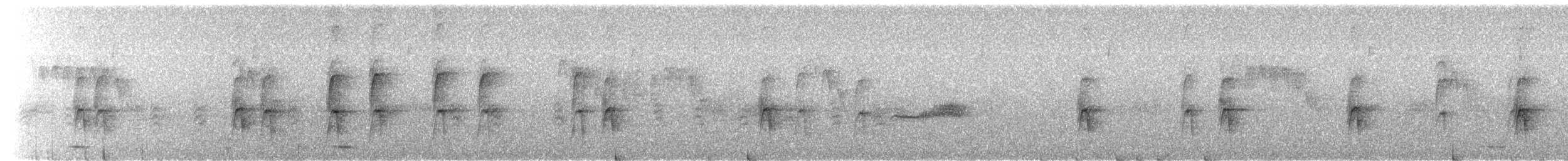 Wanderdrossel - ML586944441