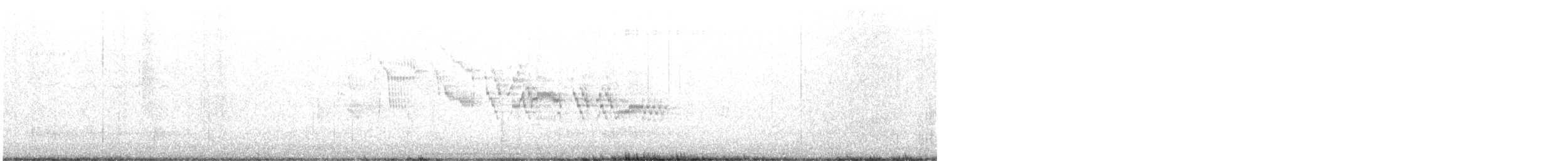 Дрізд-короткодзьоб канадський - ML586947261