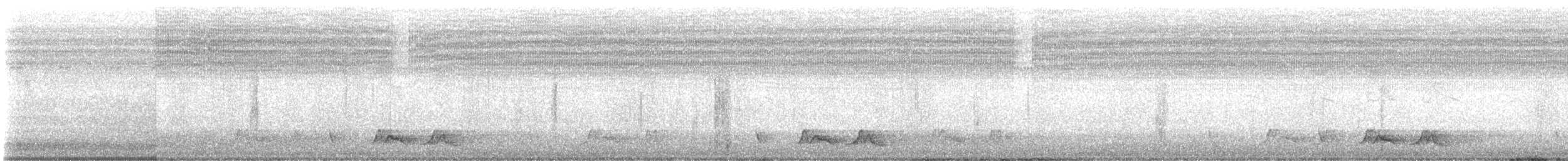 Chuck-will's-widow - ML586948571