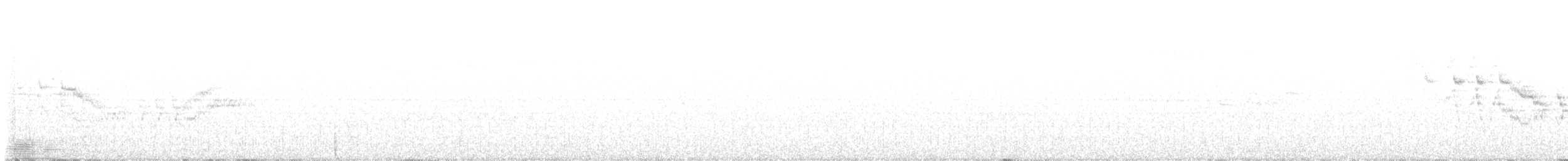 Bicknell Bülbül Ardıcı - ML586982281