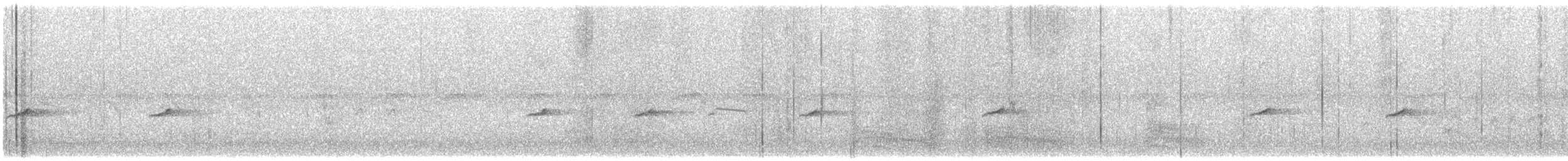 sørnattergal (megarhynchos/africana) - ML586984911