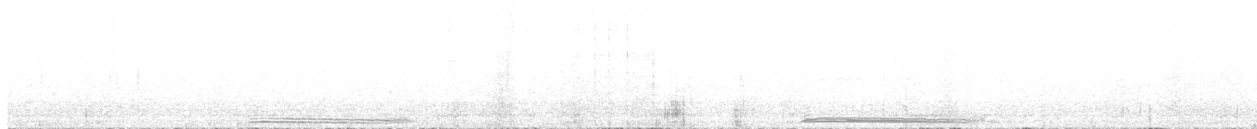 buřňák madeirský - ML587027981