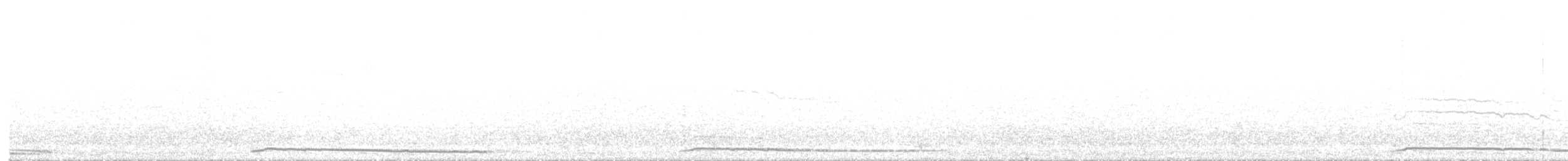 buřňák madeirský - ML587030481
