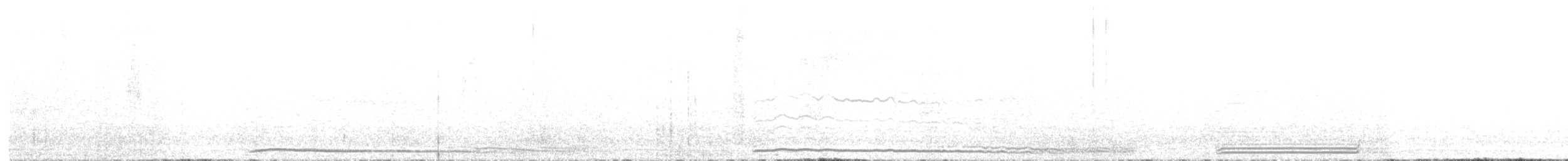 buřňák madeirský - ML587031011