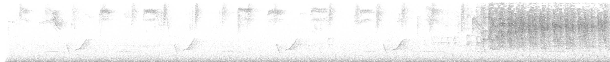 svartøretanagar (melanotis gr.) - ML587037801