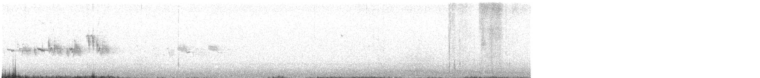 Black-throated Gray Warbler - ML587112761