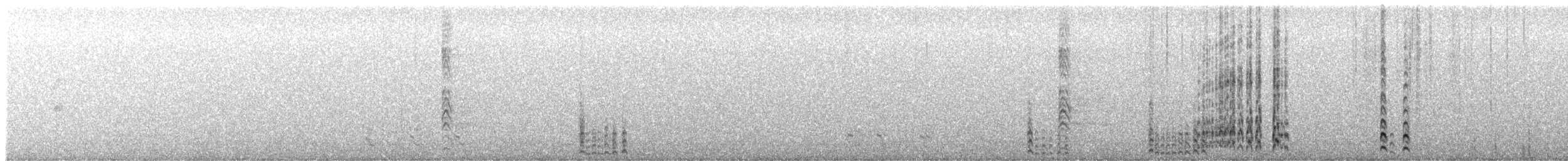 Lagopède à queue blanche - ML587121851