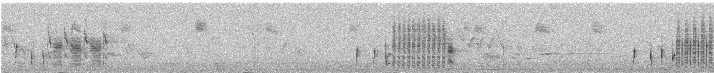 Troglodyte des marais - ML587124911