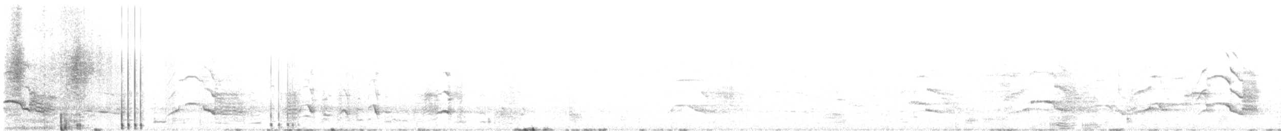 Yellow-tailed Black-Cockatoo - ML587154131
