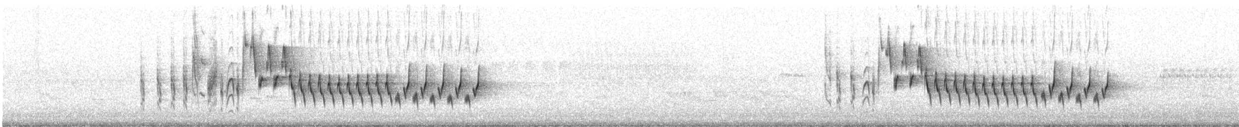 Northern House Wren - ML587163091