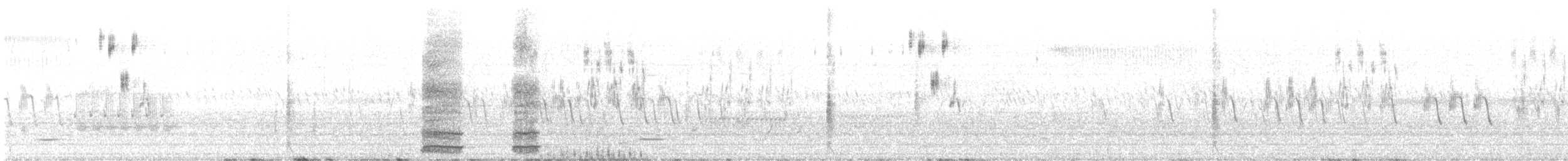 Henslow's Sparrow - ML587167691